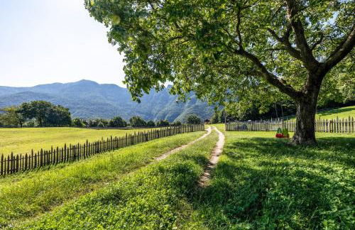 Agriturismo Malga Riondera - Foto 11