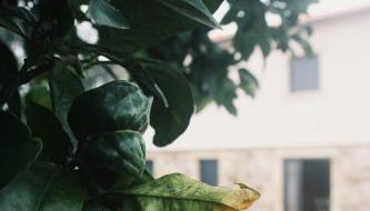 Refúgio Da Gandra - Foto 5