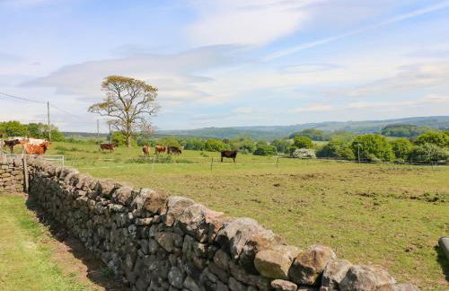 Wigwell Barn - Foto 18