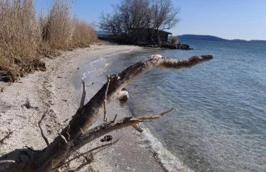 La maisonnette de Saint Chamas - Foto 31