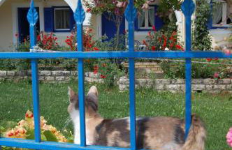 Angelina Apartments - Foto 51