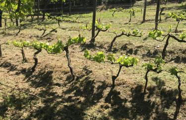 Giardino di Potentino - Foto 33