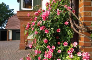 Landtraum im Traumland Mecklenburg - Foto 9