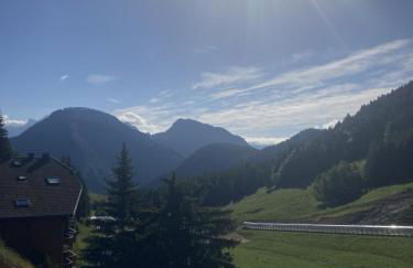 Edelweiss, Studio 5 pers, balcon sud est, vue sur les montagnes - Foto 58