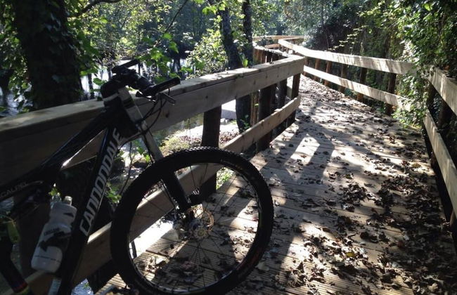 Stone House National Park - Foto 16