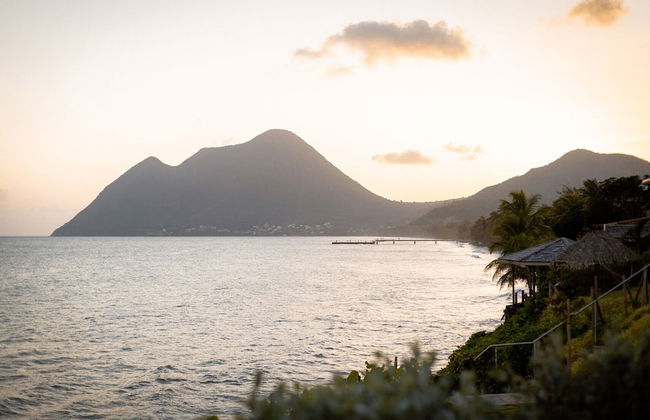 Eden Roc Villas - Photo 57