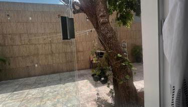 Casa de mãe - Foto 5, Garden