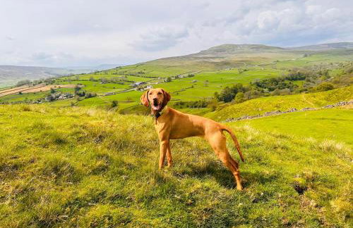 The Old Barn - Photo 9