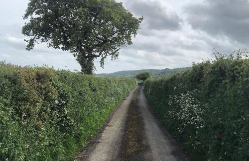 Characterful, Cosy Dartmoor Cottage - Foto 8