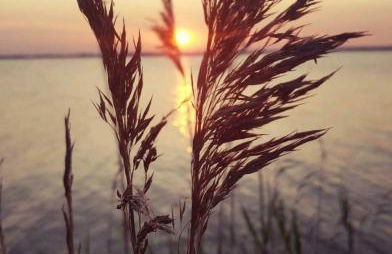 Ferienwohnung An den Tannen - Foto 22