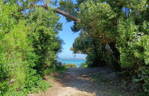 Santec Roscoff maison 500m mer Finistère Bretagne - Photo 18