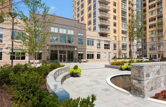 Bluebird Suites in Reston - Photo 67