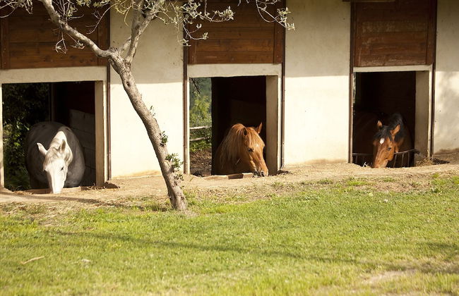 Agriturismo Ripaiani - Foto 46