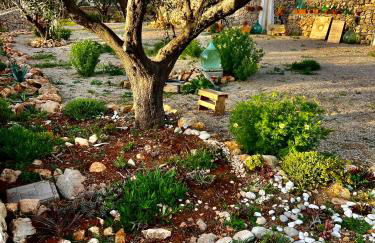 Trulli delle succulente - Foto 50