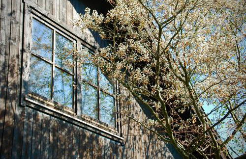 Charmante Ferienwohnung mit Balkon im 5-Seen-Land - Foto 50