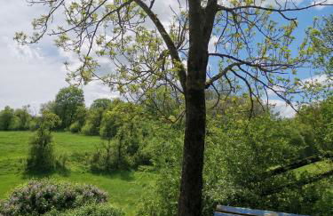 Ferienwohnung Schöne Aussicht Reelsen - Foto 4
