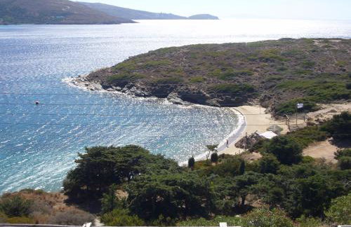 Elpida Andros - Foto 26