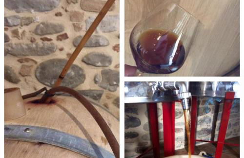 Azienda Agricola Perconti - Foto 45