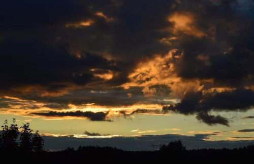 Brzozami Malowane - Photo 14