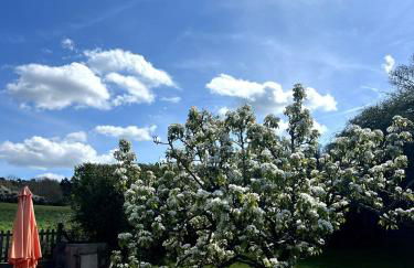 The Artist's Studio - Foto 18