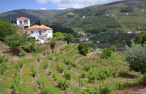 Quinta do Santo no Douro - Casa T3 - Foto 13