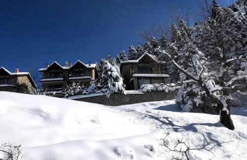 Pinecone Lodge, Eptalofos Wellness Garden Chalet - Foto 65