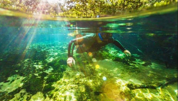 Snorkeling nel fiume Prata
