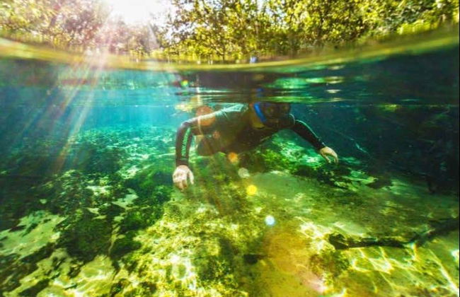 Snorkeling nei fiumi Prata e Olho d'Água - Photo 2