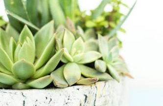 Open and Comfy home near Downtown-Folly Beach - Foto 32