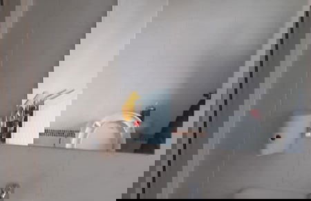 Simla Sittard voor kamer - Photo 8