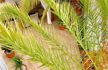 Villa Panoramic del Atlantico - Foto 7