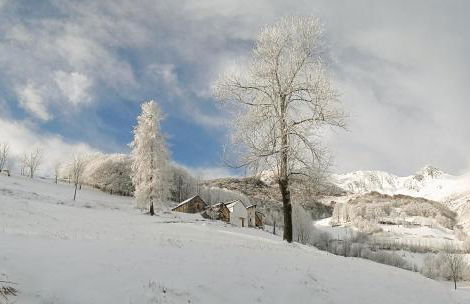 Patatouc Country House - 15 minuti di cammino da Limonetto - Photo 4