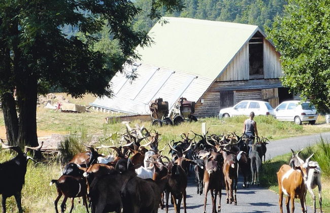 Rural Pool Retreat in the Hills - Foto 8