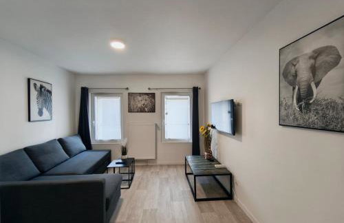 Grand Studio Lumineux Proche Centre-Ville - Foto 1