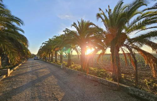 Finca La Preciosa - Photo 60