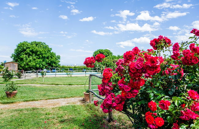 Agriturismo Il Roseto - Foto 63