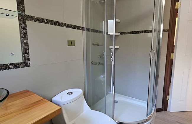 Oceana Suites Corralco - Photo 22