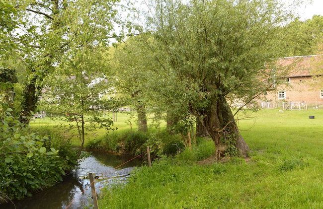Comfy Holiday Home near Forest in Slenaken - Foto 37