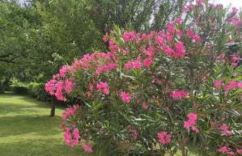 Apartment Pino - Foto 58