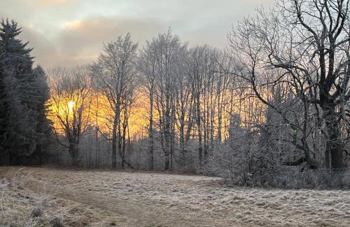 Ferienwohnung Schulze Jonsdorf - Foto 4
