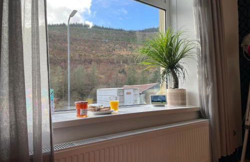 Afan forest-Cregan Cottage-Pet friendly - Foto 42