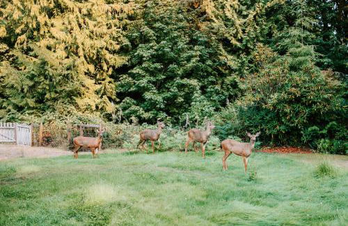Private 5 Acre CabinHotTubGameRoom by OlympicNP - Foto 58