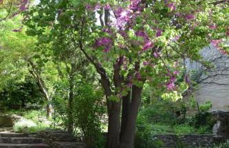 Grande maison de village - solarium et terrasse - Foto 26