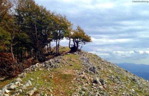 [Chi Ama il Mare] Appartamento - Foto 45