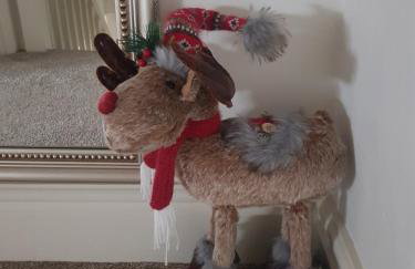 Curlew Cottage - Foto 17