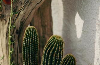 Complejo Rural Reflejo del Negratín - Foto 49