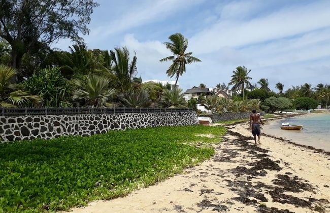 Allamanda Studios and Apartments - Photo 39