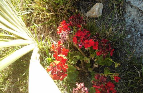 Casa Do Fiscal - Foto 25