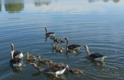 South Lake House - 300m to South Lake Leisure Centre - Foto 49