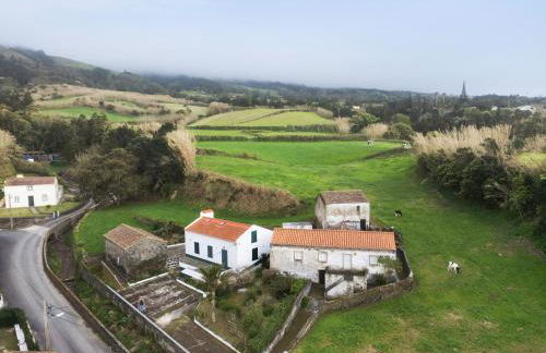 A Casa d'Amália - Photo 2